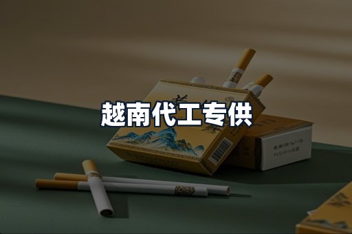 越南代工专供